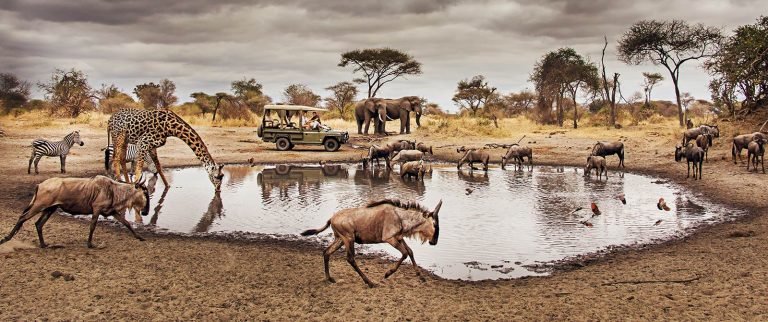 A347-1600x670-little-chemchem-waterhole-game-drive-3