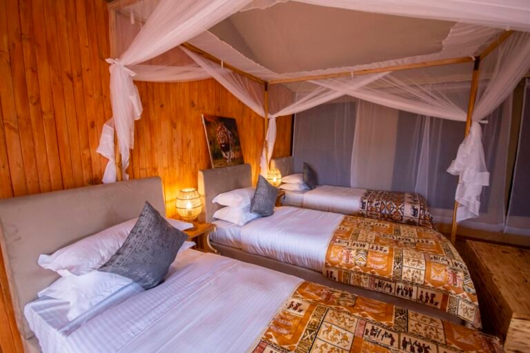 Misako-Luxury-Camp-1