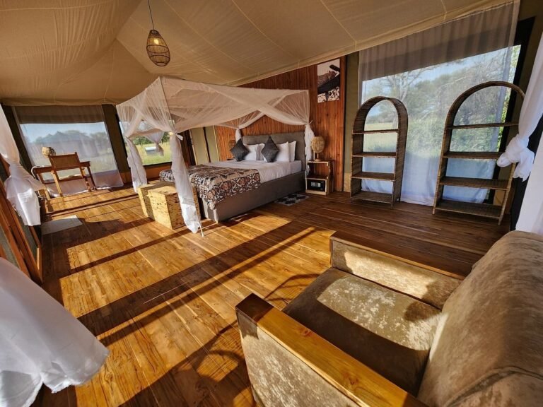 Misako-Luxury-Camp1-3