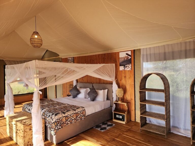 Misako-Luxury-Camp2-1