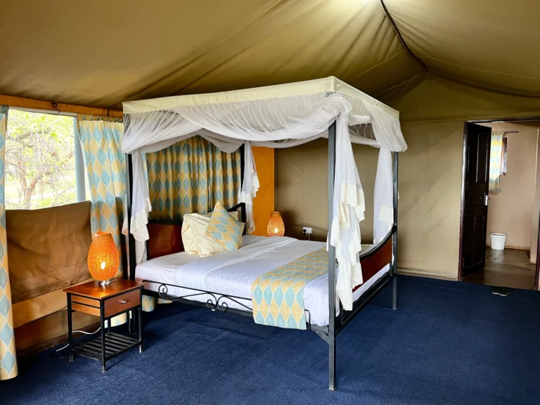 Ngorongoro-Wild-Camp29-scaled