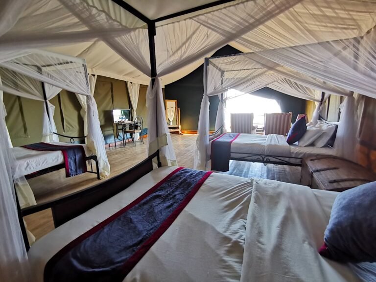 Ngorongoro Wild Camp3