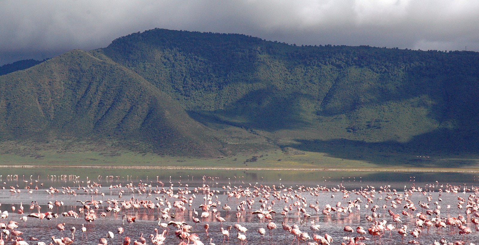 Ngorongoro_Flamingo_Lake