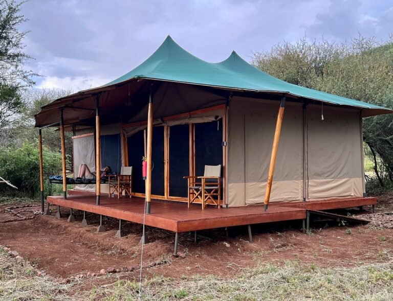 Safari-Haven-Migration-Camp