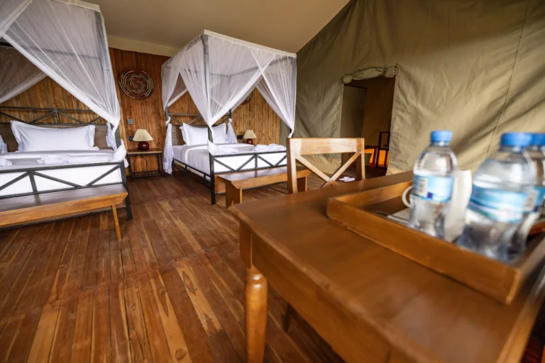 Safari-Haven-Migration-Camp-kogatende-Tanzania-Safari-Experiences
