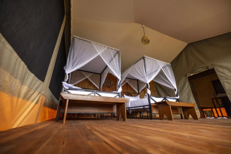 Safari-Haven-Migration-Camp-kogatende-Tanzania-Safaris-Experiences (1)