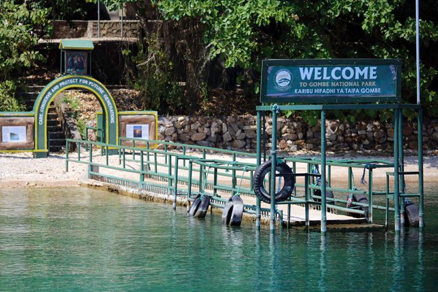 africa_tanzania_entrance_to_gombe_national_park_helen_cox_blog