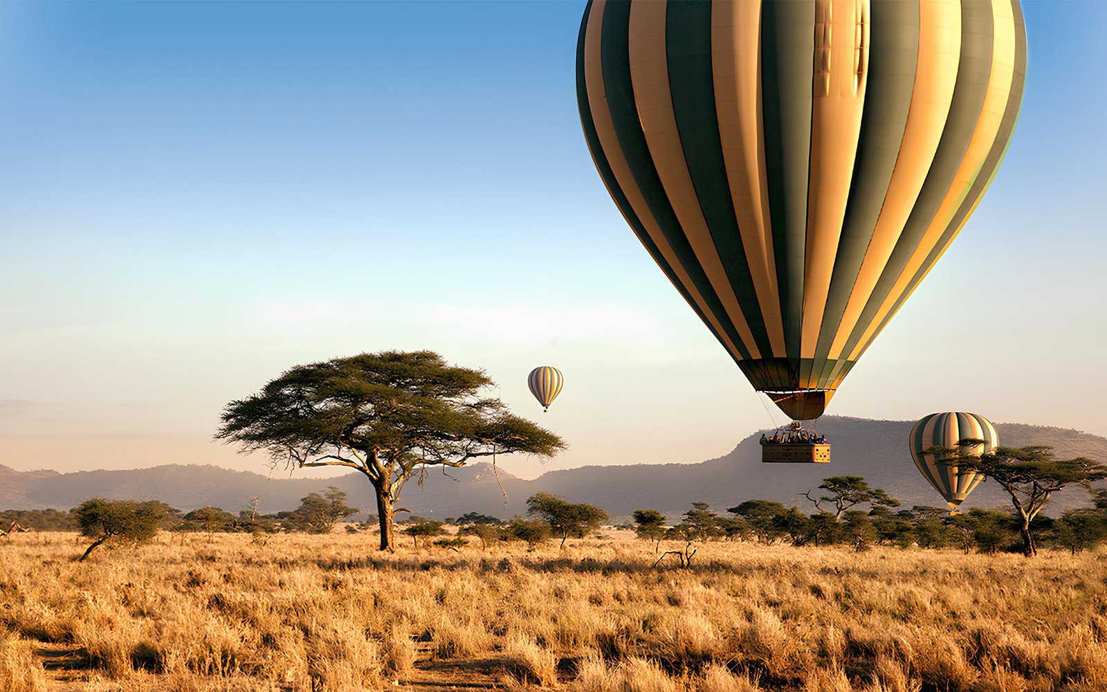 balloon-serengeti-1