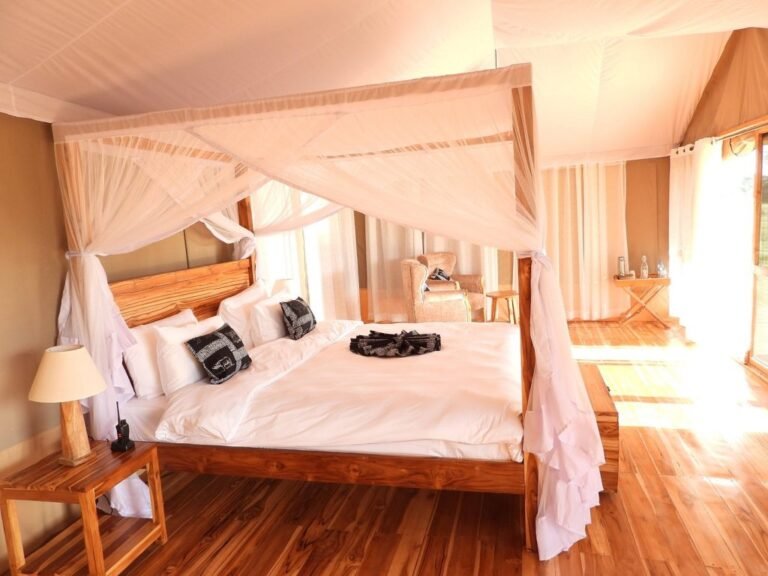 inside-tent-1024x768