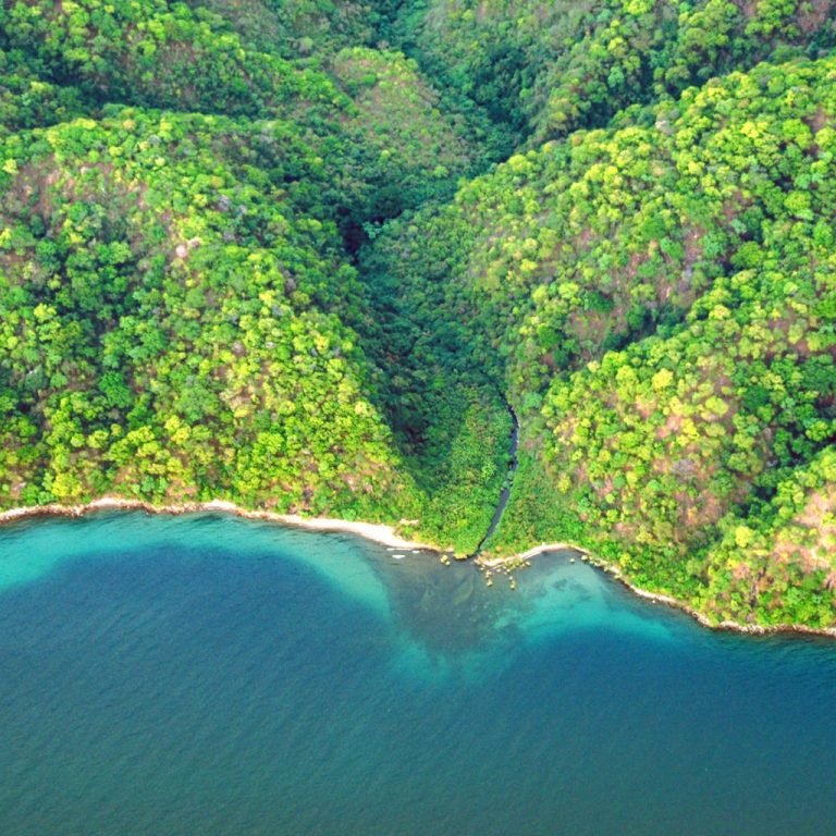 mahale_national_park_mambojambo