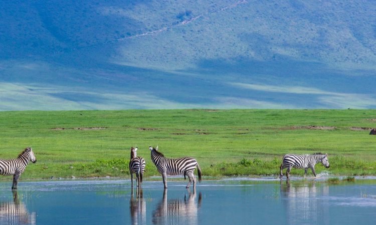 ngorongoro crater3